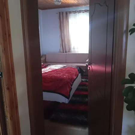 Vila Kamcishti Landsted