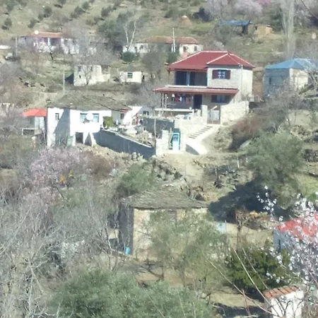 Vila Kamcishti *
