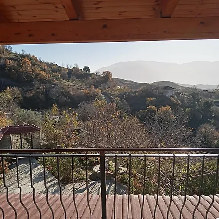 Vila Kamcishti *