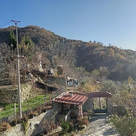 Vila Kamcishti * Tepelene