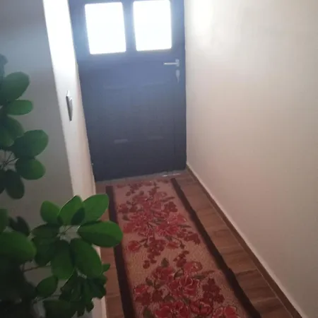 Country house Vila Kamcishti *